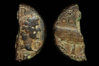 gi0046bb3017.jpg