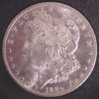 1884ccMorgan1.jpg