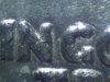 close up 1963 qtr IGWT.jpg