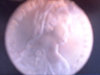 Picture 21.jpg