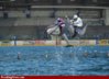 dolphin racing.jpg