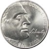 2005 D american bison.jpg