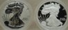 2012 2 Coin Eagle Set Obverse.jpg
