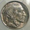 1914 PR buffalo nickel obv.jpg