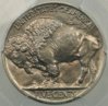 1914 PR buffalo nickel rev.jpg