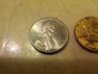 IMG_20130318_164609.jpg