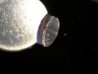 DSCN4778.jpg