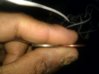 IMG_20130325_114450.jpg