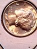 IMG_20130328_181246_306.jpg