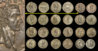 wslgroup.jpg