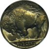 1938-D Buffalo 5c NGC MS64 Rev 1.jpg