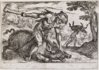 e-boar photo 3.jpg