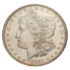 1881 PR-64 Morgan obv..jpg