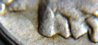 UnitedStates-Nickel-1921-ExtraNose-Zoom3.jpg