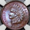$T2eC16NHJF8E9nnC6IGuBRUhhv(FQQ~~60_57.jpg