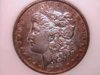 1901 p morgan dollar obv.jpg
