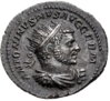 Caracalla bulls a.jpg