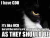 i_have_cdo_ocd.jpg
