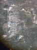 cpm_1921_Morgan_REV_Grease_Filled_Die.jpg