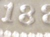 1888-O Mogan Dollar Pitted Obv Raw obv 0 # 3 4 + Rev #1 Date # 2 MMark # (7).JPG