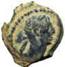 trajan rhino a.jpg
