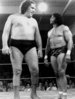 andre-the-giant.jpg
