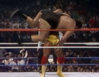 hogan andre.jpg