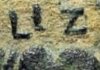 Liz.jpg