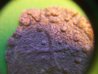 100_4115.jpg