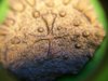 100_4116.jpg