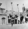 sf_ppie_ostrich_exhibit_400.jpg