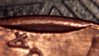 DSCI0482.jpg