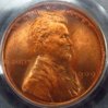 1909- VDB PCGS O.JPG