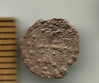 rare coin 002 (5.png