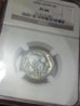 20130411_111729.jpg