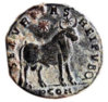 julian II bull b.jpg