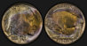 1936_BuffNickel_NGC_GTG_composite_zpsd813e85d.jpg