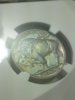 20130411_111355.jpg