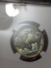 20130411_110156.jpg