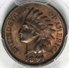 1891 Indian Cent Obv..jpg