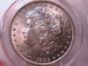 1882 o dollar obv.jpg