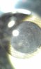 Token - 1818 Unknown Tiny Little Thing 04.jpg