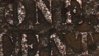 011.jpg