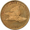 flying eagle proof.jpg