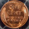 1951-D PCGS R.JPG