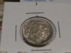 DSCF5546.jpg