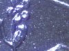 Coin 2-4-Full neck and pod rev close up.jpg