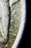 1994 Quarter 2 009.jpg