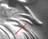 64D DDO-001 marker (a).jpg