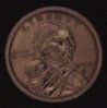 sac001.jpg